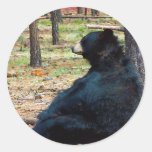 Black bear sticker