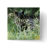 Black Bear Under Cover Buttons