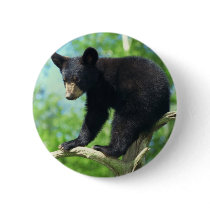 Black Bear Up A Tree Pin