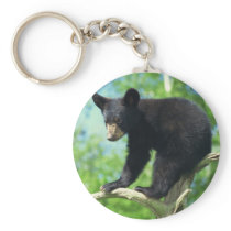 Black Bear Up A Tree Key Chains