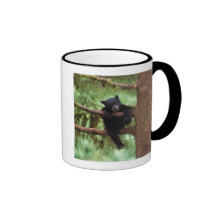 black bear, Ursus americanus, cub in a tree Coffee Mugs