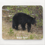 Black Bear  Wildlife Supporter Mousepad