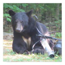 Black Bear with White Heart Tattoo posters