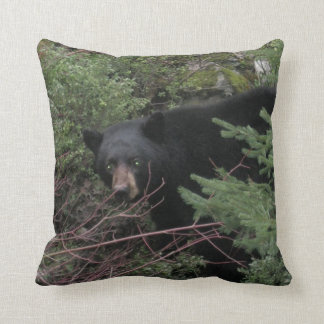 black bear pillows