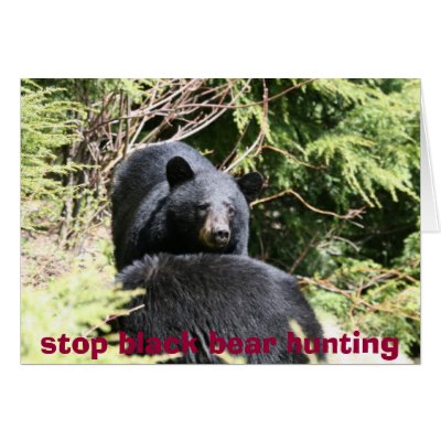 black bears 2bears 9x12, stop black bear hunting card by michaelcyr1234