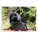 black bears 2bears 9x12, stop black bear hunting cards
