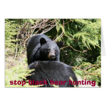 black bears 2bears 9x12, stop black bear hunting cards by michaelcyr1234 black bears 2bears 9x12, stop black bear hunting cards