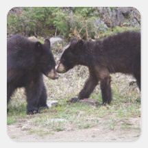 Black Bears Cubs Sticker