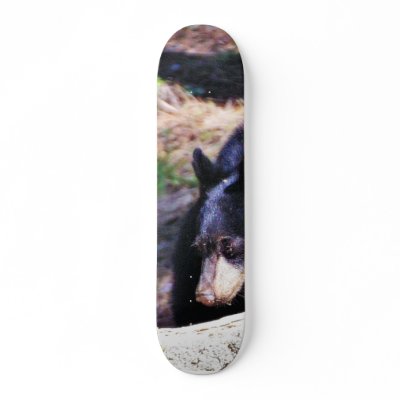 Black Bears Furry Skate Boards by lifesphere