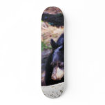 Black Bears Furry Skate Boards