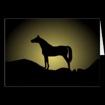 BLACK BEAUTY cards
