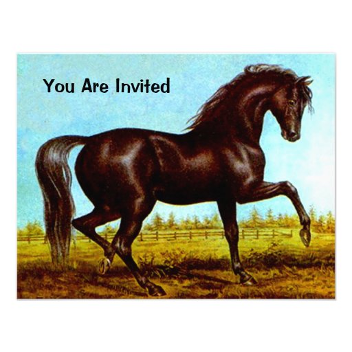 BLACK BEAUTY HORSE  BIRTHDAY PARTY INVITATION