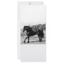 Black Beauty Horse Custom Rack Cards