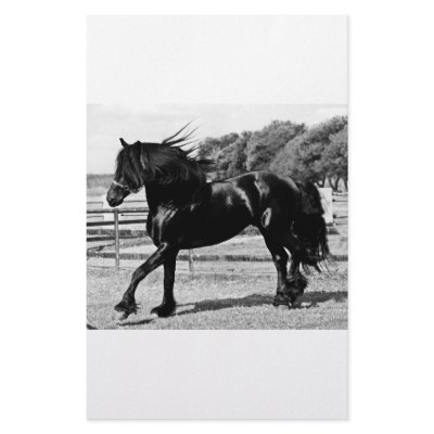 Black Beauty Horse Custom Stationery by laureenr