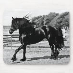 Black Beauty Horse Mousepad