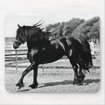 Black Beauty Horse Mousepad