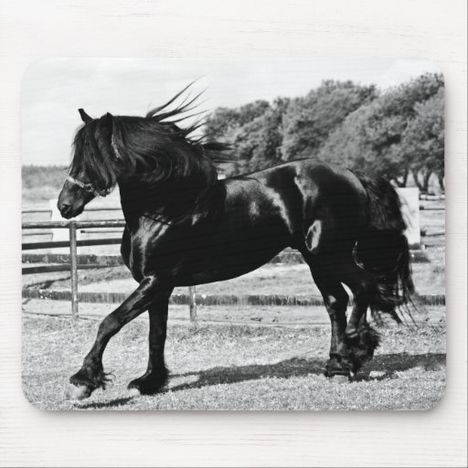 Black Beauty Horse Mousepad