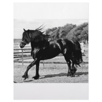 Black Beauty letterhead by laureenr Black Beauty letterhead