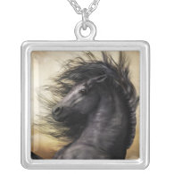 Black Beauty Necklace necklace
