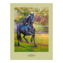 Black Beauty. posters