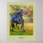 Black Beauty. posters