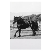Black Beauty stationery by laureenr Black Beauty stationery