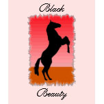 Black Beauty Shirt