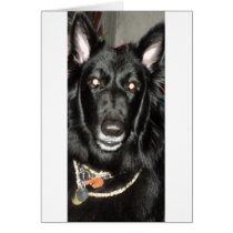 Black Belgian Shepherd Cards