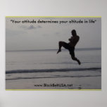 Black Belt USA Poster1