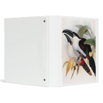 Black-billed Mountain Toucan Vinyl Binder