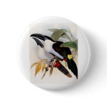Black-billed Mountain Toucan Buttons