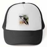 Black-billed Mountain Toucan Mesh Hat