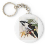 Black-billed Mountain Toucan Key Chain
