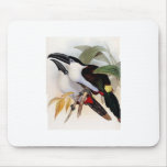 Black-billed Mountain Toucan Mouse Pad