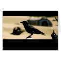 Black Bird - Card by bixxman Black Bird - Card