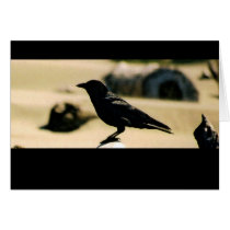 Black Bird - Card cards