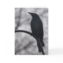Black Bird Card