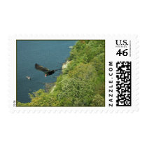 Black Bird in Flight Truman Lake Stamps
