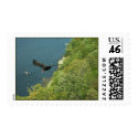 Black Bird in Flight Truman Lake postage
