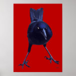 Black Bird On Red posters