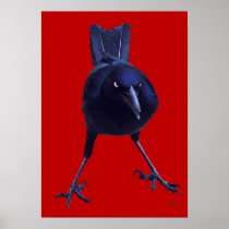 Black Bird On Red Print