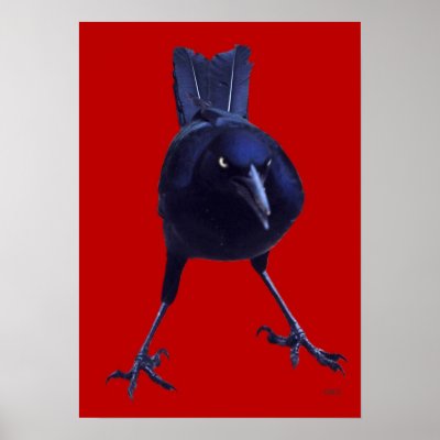 Black Bird On Red Print by DiDi_Higginbotham