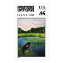"Black-bird Pond" postage by paintonmypaws "Black-bird Pond" postage