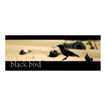 Black Bird posters