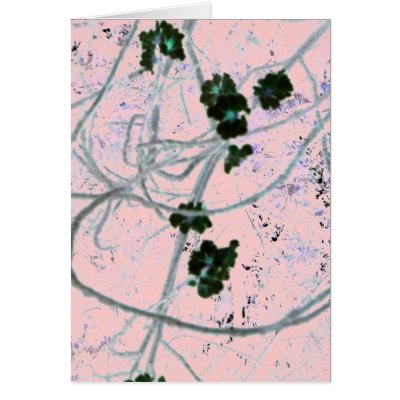 Black Blossoms Soft Pink Card by SeaAngel