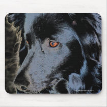 Black Border Collie Dog Photo Mousepad by SmilinEyesTreasures Black Border Collie Dog Photo Mousepad