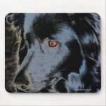 Black Border Collie Dog Photo Mousepad