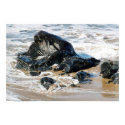 Black Boulder In Waves posters by dma847 Black Boulder In Waves posters
