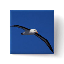 Black-Browed Albatross In Flight Buttons