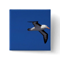 Black-Browed Albatross In Flight Pinback Button
